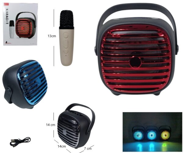 PARLANTE KARAOKE CON MICROFONO 4PLG